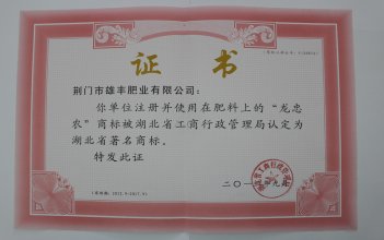 湖北省著名商標(biāo)證書